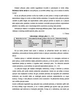 Diplomdarbs 'Mēbeļu tirgus novērtējums un attīstība Latvijā', 60.