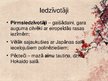 Prezentācija 'Īss ieskats Japānas vēsturē', 2.