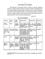 Diplomdarbs 'Brīvās ekonomiskās zonas raksturojums', 13.