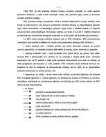 Diplomdarbs 'Brīvās ekonomiskās zonas raksturojums', 17.