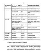 Diplomdarbs 'Brīvās ekonomiskās zonas raksturojums', 45.