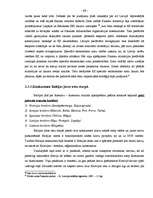 Diplomdarbs 'Brīvās ekonomiskās zonas raksturojums', 46.