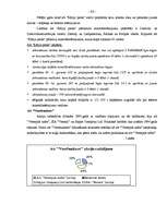 Diplomdarbs 'Brīvās ekonomiskās zonas raksturojums', 83.