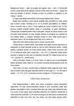 Referāts 'Ekoloģiskā būvniecība', 5.