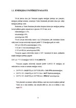 Referāts 'Ilgtspējīgas energoapgādes iespējas Vecsaules pagastā', 9.