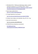 Referāts 'Ilgtspējīgas energoapgādes iespējas Vecsaules pagastā', 30.