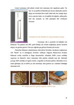 Referāts 'Bauskas Rātsnama vēsture un rekonstrukcija', 19.