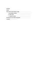 Eseja 'Ziemassvētku tradīcijas, kuras mūsu ģimene saglabājusi no folkloras un, kuras ie', 6.