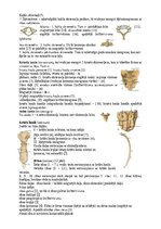 Konspekts 'Rumpja kauli un savienojumi', 2.