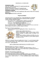 Konspekts 'Rumpja kauli un savienojumi', 3.