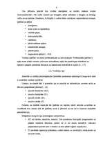 Referāts 'Līderības teorijas', 4.