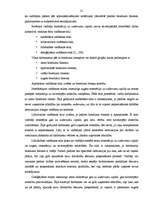 Referāts 'Līderības teorijas', 19.