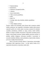 Referāts 'Ārpusskolas iestāžu ietekme uz pusaudžu vērtību veidošanos', 22.