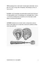 Referāts 'Ēdienu pasniegšanas noteikumi. Jūras veltes', 3.