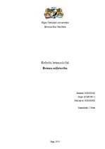 Referāts 'Betona salizturība', 1.