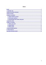 Referāts 'Betona salizturība', 2.