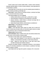 Referāts 'Rīgas Jaunā teātra un Dailes teātra sociālo mediju aktivitāšu salīdzinājums', 5.