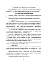 Referāts 'Rīgas Jaunā teātra un Dailes teātra sociālo mediju aktivitāšu salīdzinājums', 13.