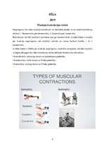 Referāts 'Izokinētisko, izotonisko, izometrisko muskuļu darba režīma raksturojums', 2.