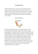 Referāts 'Izokinētisko, izotonisko, izometrisko muskuļu darba režīma raksturojums', 3.