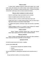 Referāts 'Transporta izmantošanas tendences Rīgā un Rīgas rajonā', 4.