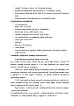 Referāts 'Transporta izmantošanas tendences Rīgā un Rīgas rajonā', 8.