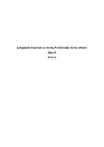 Referāts 'Izdegšanas sindroms un stress. Profesionālā stresa rašanās faktori', 1.