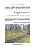 Referāts 'Aumeisteru muižas komplekss', 4.