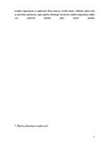 Prakses atskaite 'Profesionālā prakse tūrisma uzņēmējdarbībā', 11.