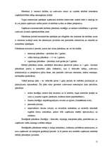 Prakses atskaite 'Profesionālā prakse tūrisma uzņēmējdarbībā', 12.