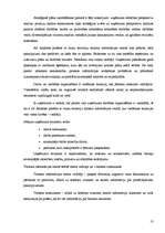 Prakses atskaite 'Profesionālā prakse tūrisma uzņēmējdarbībā', 13.