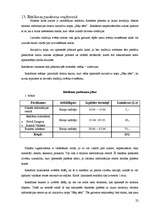 Prakses atskaite 'Profesionālā prakse tūrisma uzņēmējdarbībā', 22.