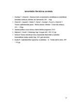 Prakses atskaite 'Profesionālā prakse tūrisma uzņēmējdarbībā', 25.