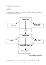Prakses atskaite 'Mārketinga prakses atskaite', 9.