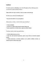 Prakses atskaite 'Mārketinga prakses atskaite', 17.