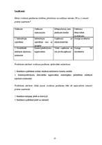 Prakses atskaite 'Mārketinga prakses atskaite', 19.