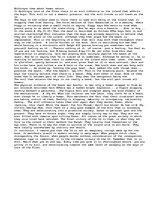 Eseja 'Lord Of The Flies', 1.