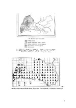 Referāts 'Rietumlatvijas tradicionālā sieviešu tautastērpa rotas: saktas', 3.
