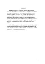 Referāts 'Rietumlatvijas tradicionālā sieviešu tautastērpa rotas: saktas', 9.