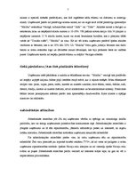 Prakses atskaite 'Uzņēmuma iekšējās un ārējās vides analīze', 7.