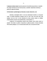 Prakses atskaite 'Uzņēmuma iekšējās un ārējās vides analīze', 13.