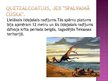 Prezentācija 'Izmirušie dzīvnieki', 4.