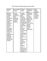 Referāts 'Sociālās aprūpes centrs "Valka"', 1.