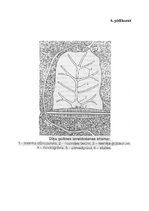 Diplomdarbs 'Zemnieku saimniecības "Pūpoli" darbības paplašināšana', 12.