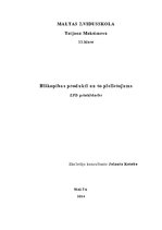 Referāts 'Biškopības produkti un to pielietojums', 1.