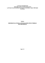 Referāts 'Reformācija Livonijā: atspoguļojums LPSR un trimdas historiogrāfijā', 1.