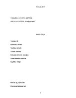 Prakses atskaite 'Aprūpes plāns, ķirurģijas nodaļa', 2.