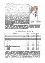 Referāts 'Izvadorgānu sistēma', 3.