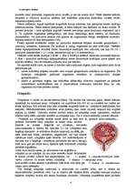 Referāts 'Izvadorgānu sistēma', 4.