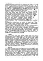 Referāts 'Izvadorgānu sistēma', 8.